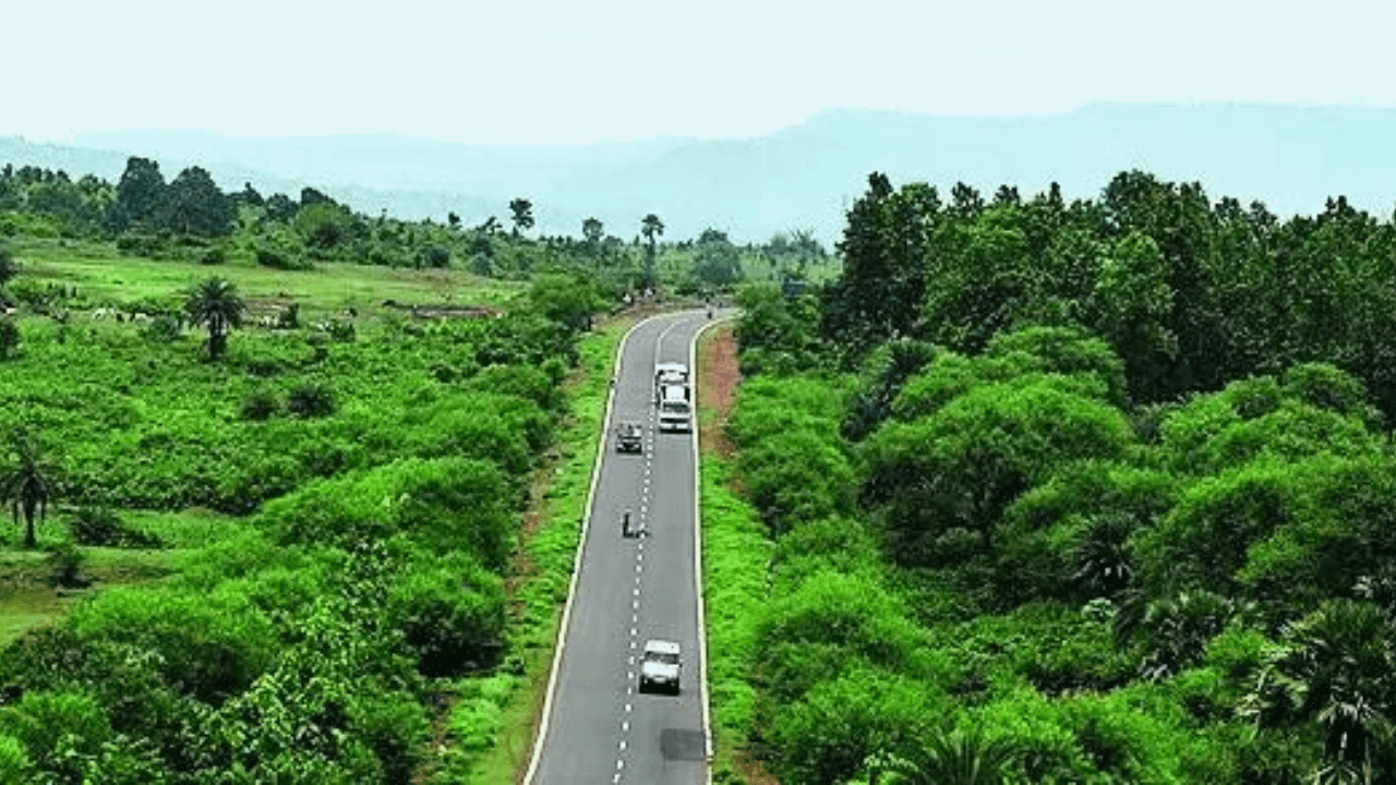 SC to government: Don’t do anything that shrinks forests