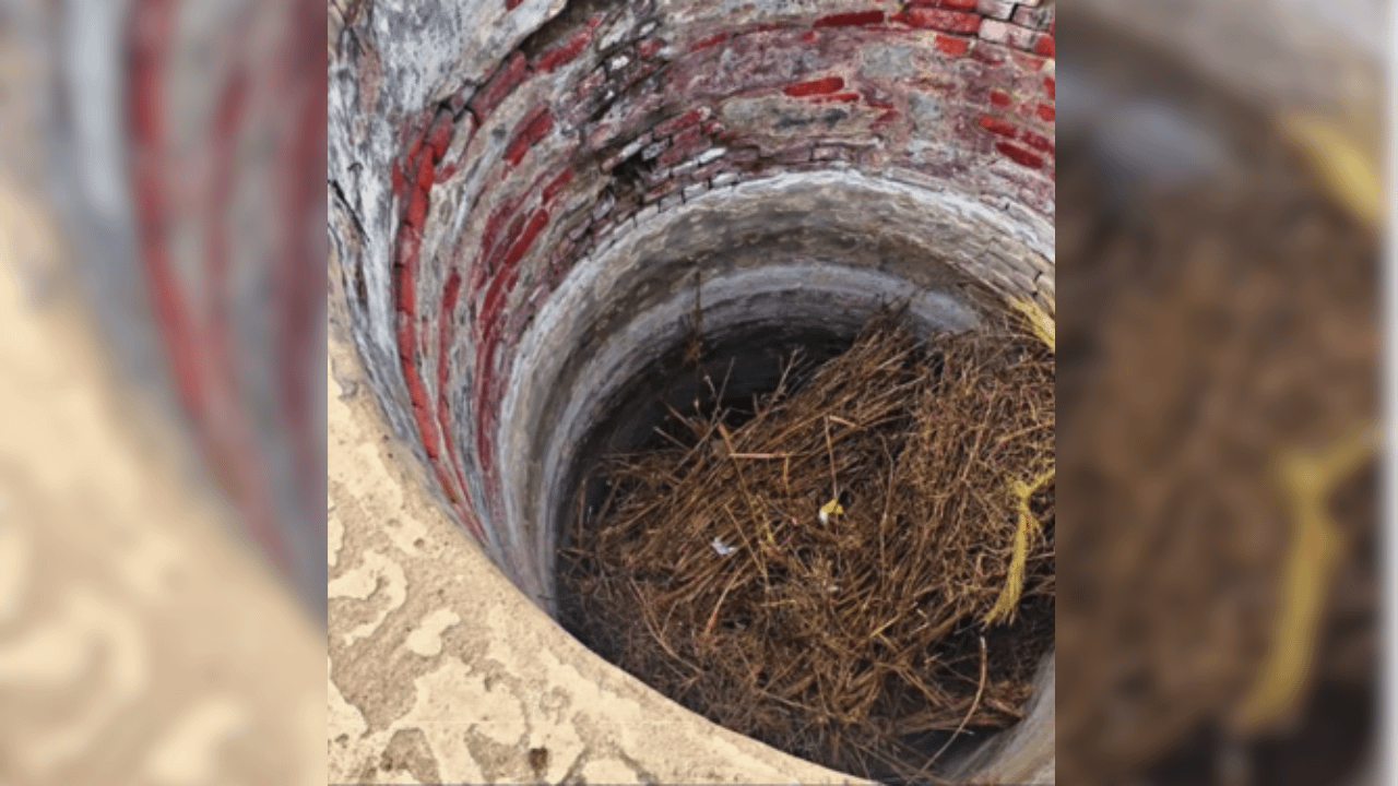 ATM uprooted from north Delhi found in Nuh well, techie among 2 held