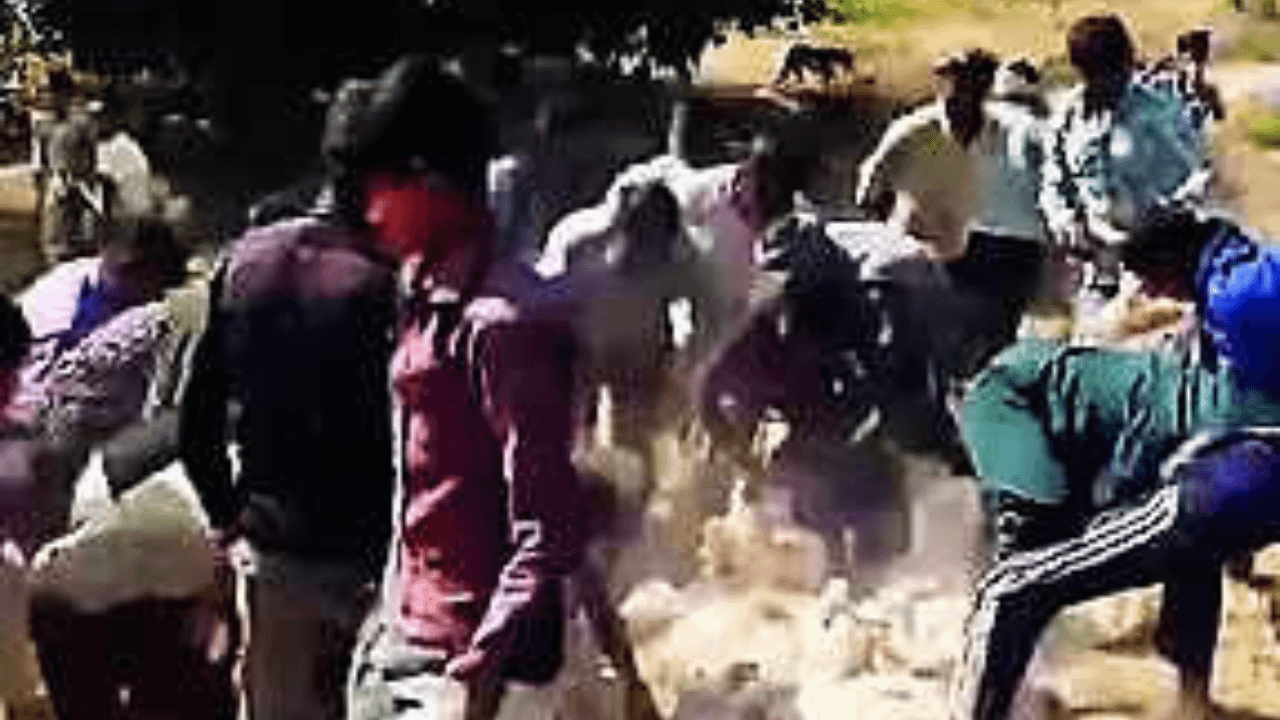 Watch: Poultry truck overturns, villagers scramble to grab chickens