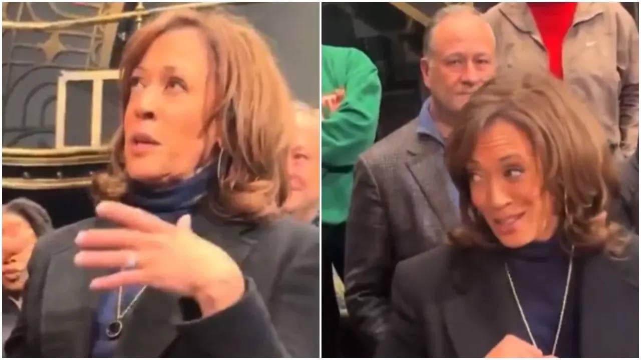 ‘Drunk auntie’: Kamala Harris mocked over word ‘salad’ during pep talk