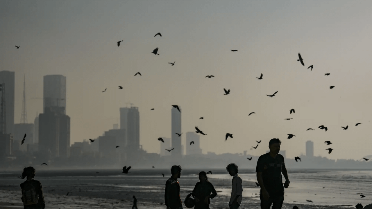 ‘Arbitrary’: Bombay HC junks MMRDA’s order to end French company contract