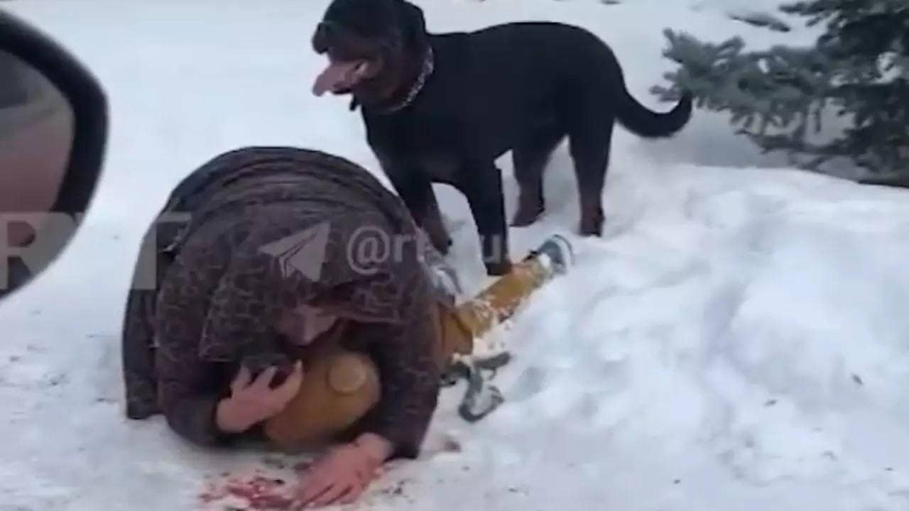 Watch: How a mother shielded her five-year-old from deadly rottweiler attack