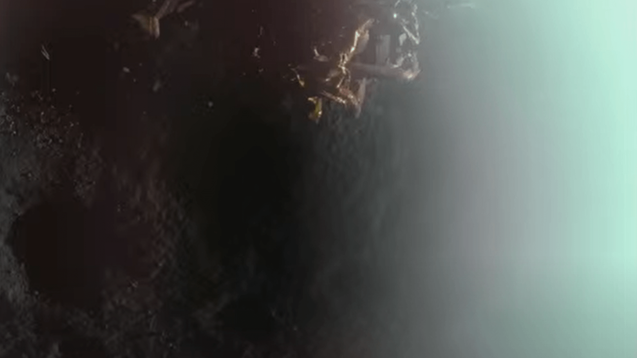 ‘Giant leap in commercial exploration’: Private US company lands on the Moon