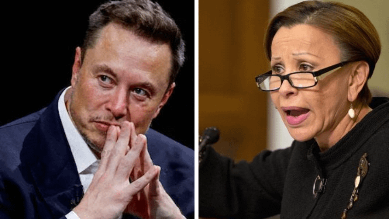 ‘Go back to South Africa!’: Outrage as Democrat rep tells Musk to leave America