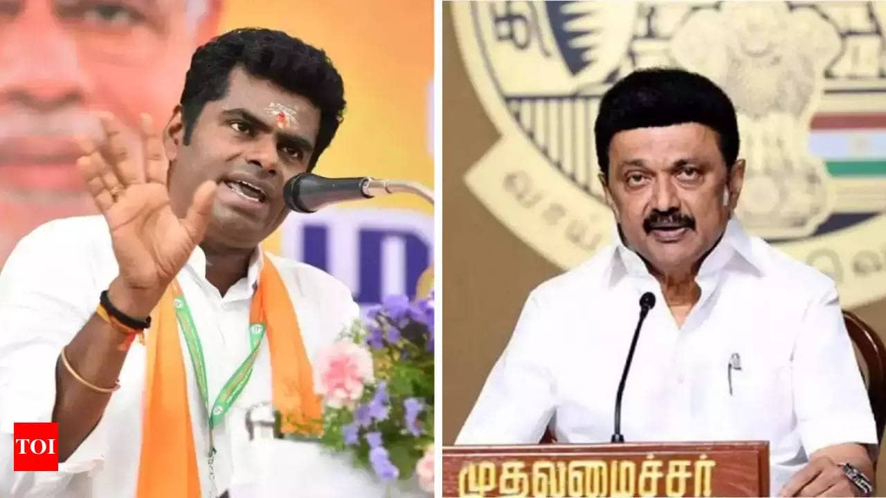 Language ‘war’: Annamalai claims over 1 lakh in favour of three language NEP