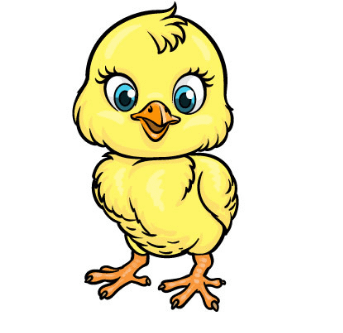 How To Draw A Chick – Permit’s Begin! In Six Step of Drawing