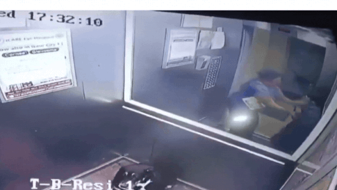 ‘Dragged out of lift, assaulted’: Woman attacks minor over pet dog objection