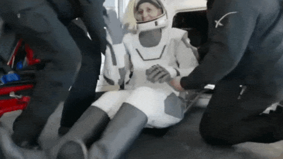 Sunita Williams smiles, waves after returning to Earth