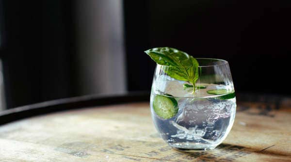 All You Need to Know About Gins