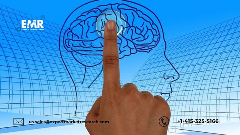 Global Neuronavigation Systems Market Size, Share, 2022-2027 | EMR Inc.