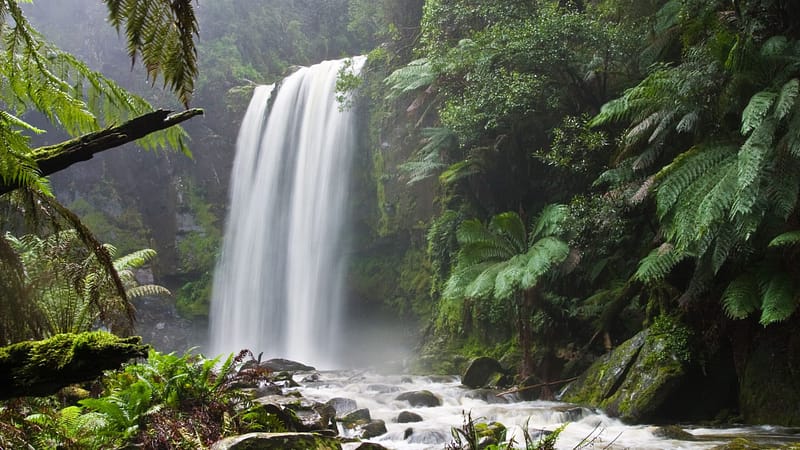 The Top 7 Best Benefits of Positive Environment