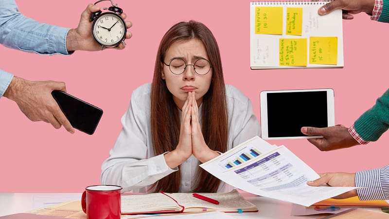 Need Affordable Assignment Writing Services USA?