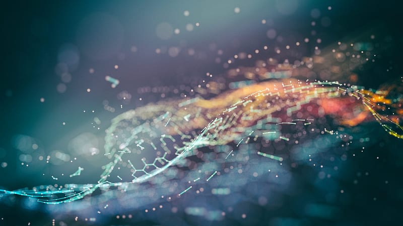 New Golangbased Windows Linux December Monerogatlanbleepingcomputer