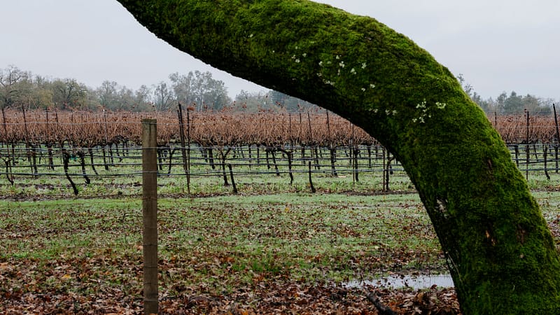 Interior Dept. Is Caught Between Tribes in Casino Battles