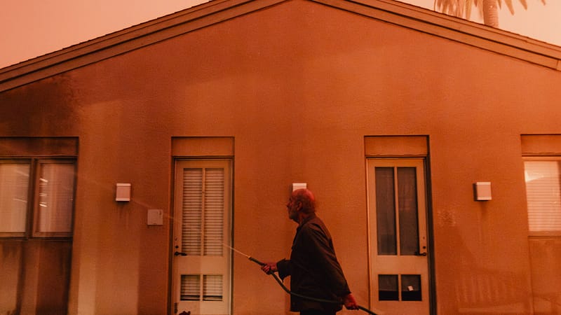 Donald Trump Blames Gavin Newsom for California Fires