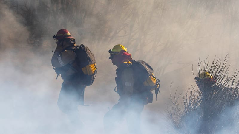 Firefighters Protect Mt. Wilson Observatory From Eaton Fire in L.A.