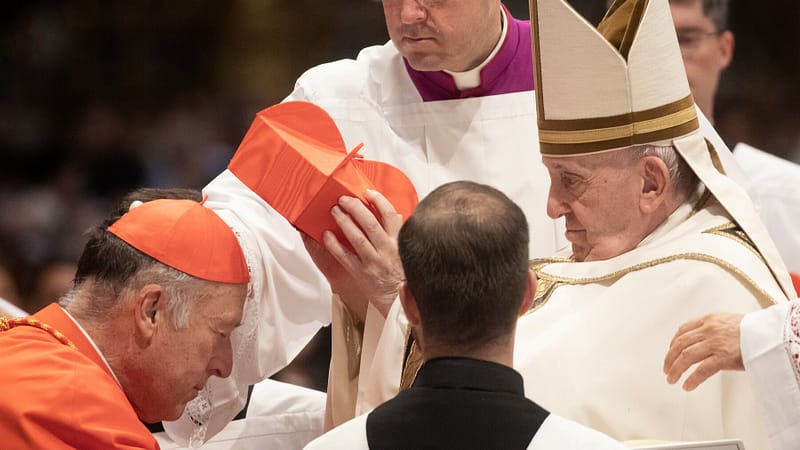 Pope Names Robert McElroy, an Ally on Immigration, as Cardinal in Washington