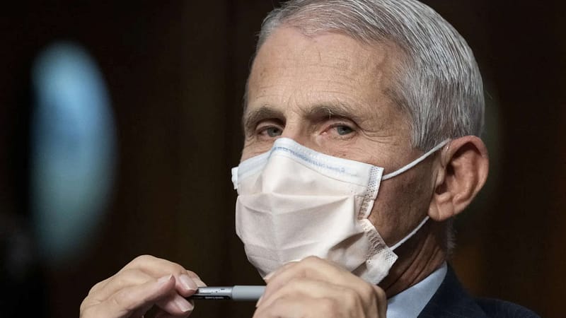 No doubt he’s guilty: MAGA on Fauci pardon