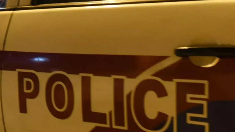 Security guard booked for killing stray dog with rod in south Delhi