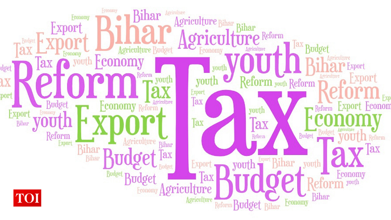 ‘Tax’, ‘reform’: Most used words by FinMin in her Budget speech